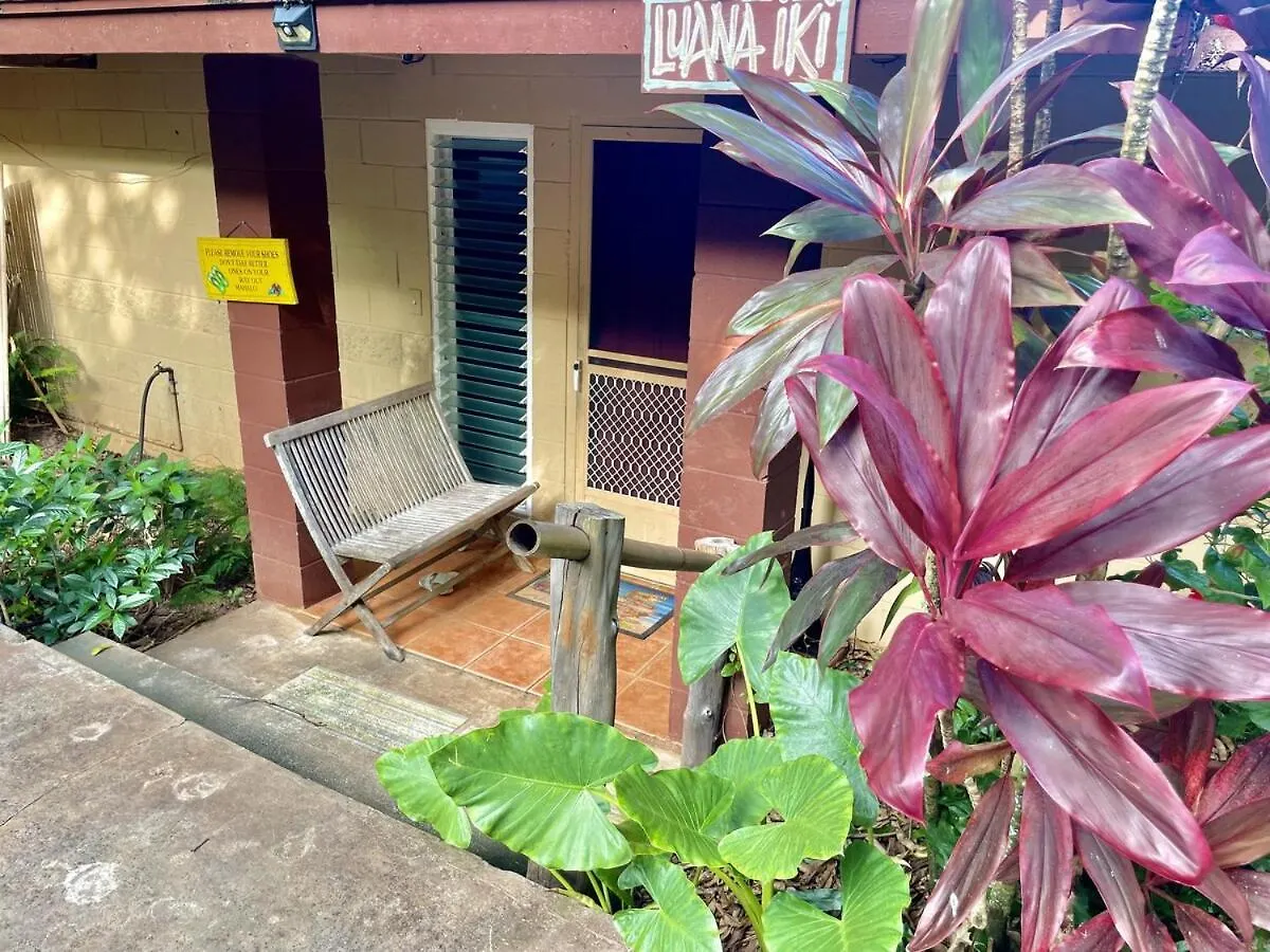 Perfect North Shore Location-World Famous Beach! ハレイワ 0*,  米国